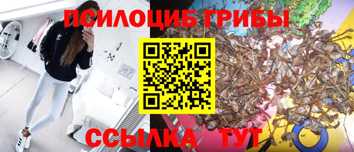 Галлюциногенные грибы мухоморы Красноармейск