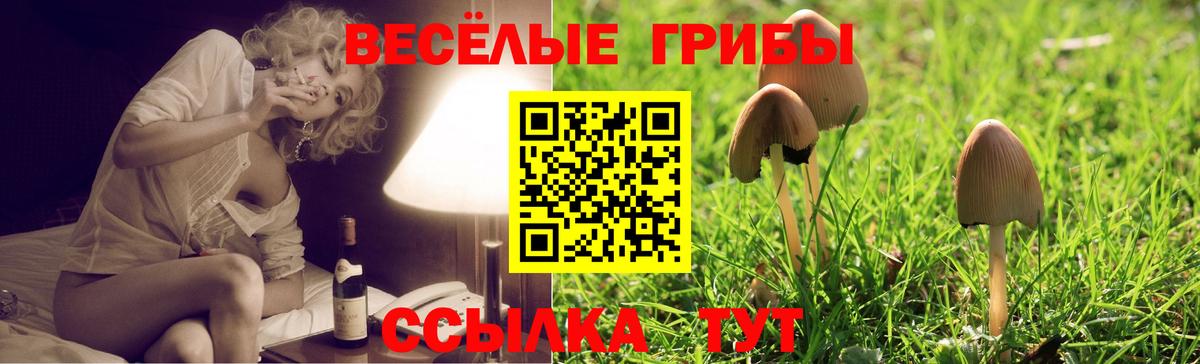 Галлюциногенные грибы ЛСД  Галлюциногенные грибы MAGIC MUSHROOMS  Красноармейск  Вход с VPN 